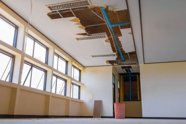 Best Emergency water damage restoration  in Ruidoso, NM