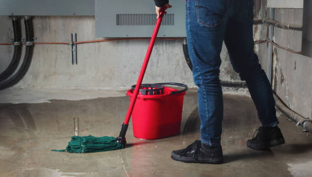 Best Carpet water damage restoration  in Ruidoso, NM